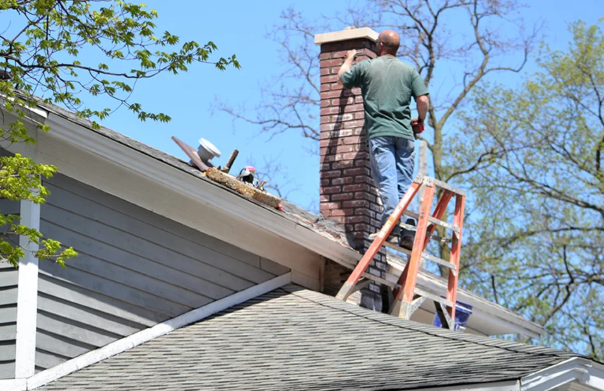 Chimney & Fireplace Inspections Services in Scottsboro, AL